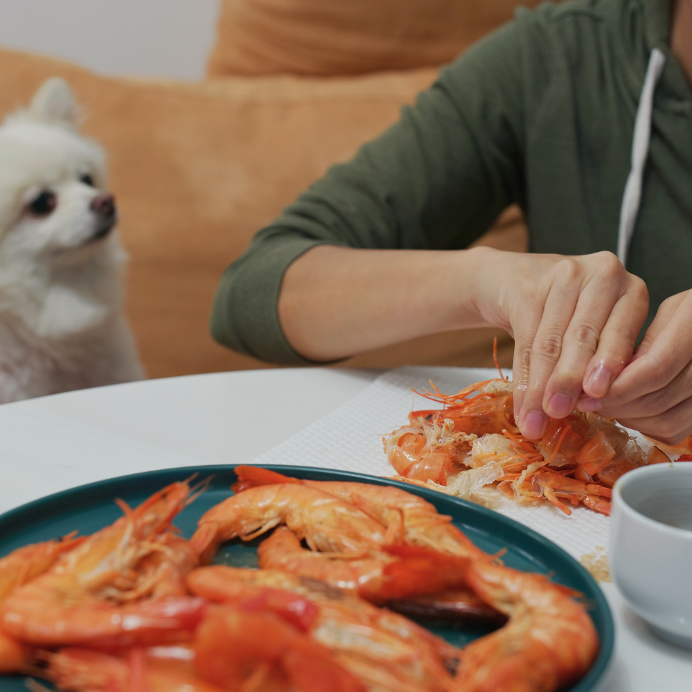 Can Dogs Eat Shrimp